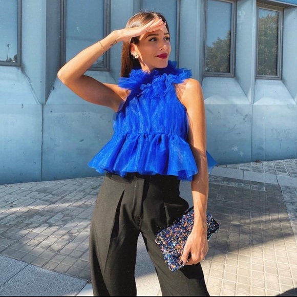COPY - NWT Zara VOLUMINOUS TULLE TOP - Picture 5 of 8